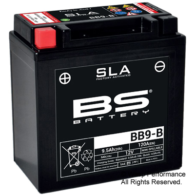 BS 12V 9.5Ah Maintenance Free Battery